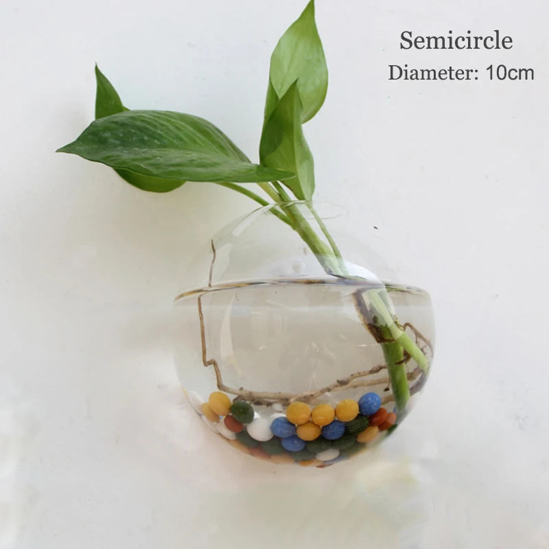 Wall Hanging Glass Terrarium Vase
