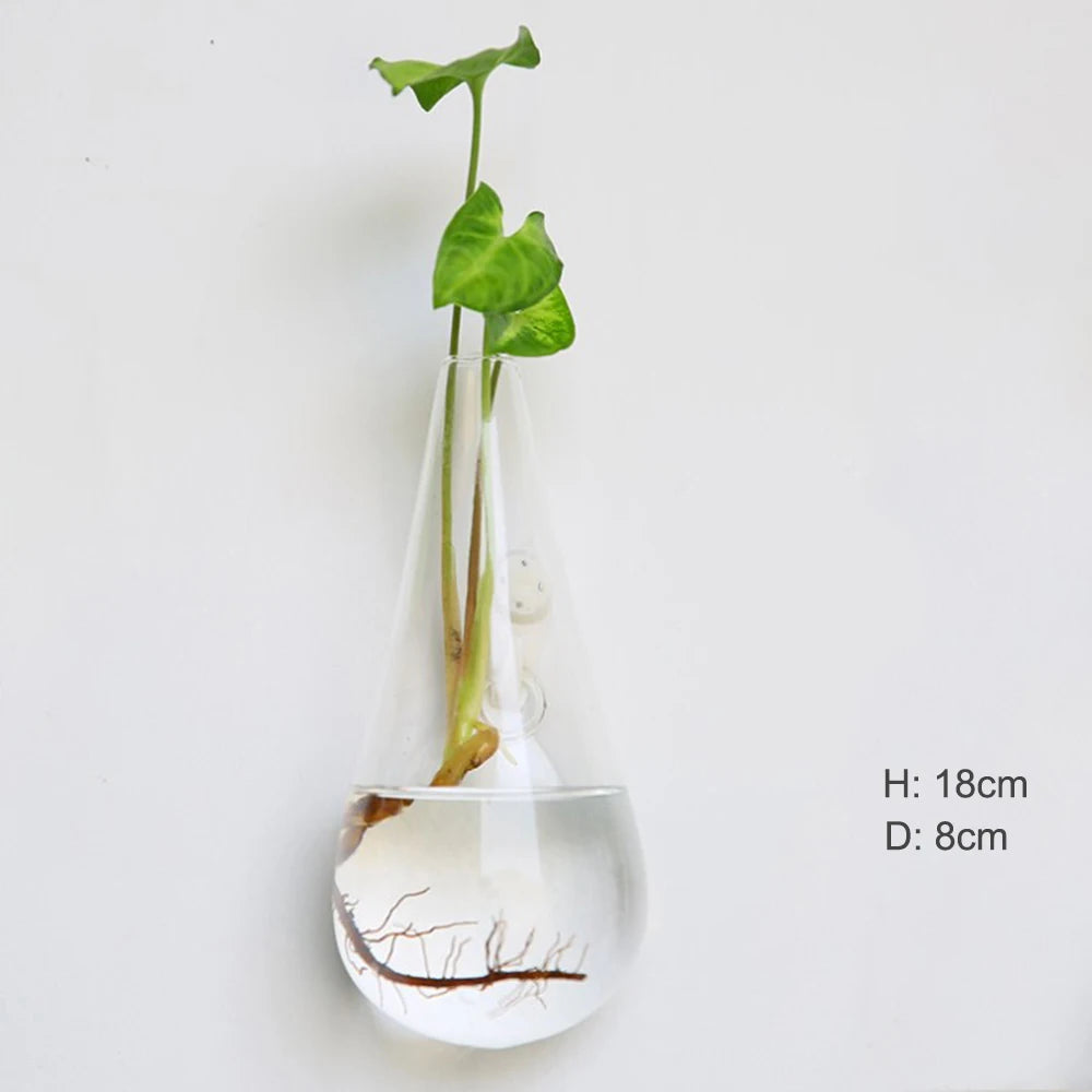Hanging glass vase collection five shapes wall mounted
