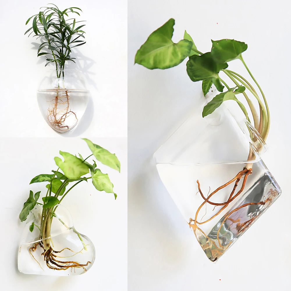 Multiple glass terrarium vase shapes for wall display