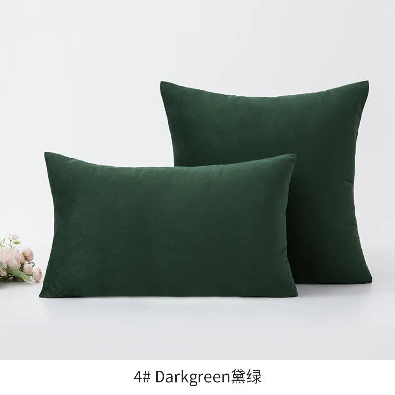 Plush Velvet Throw Pillow Cover