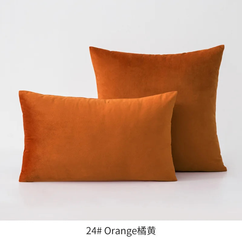 Plush Velvet Throw Pillow Cover