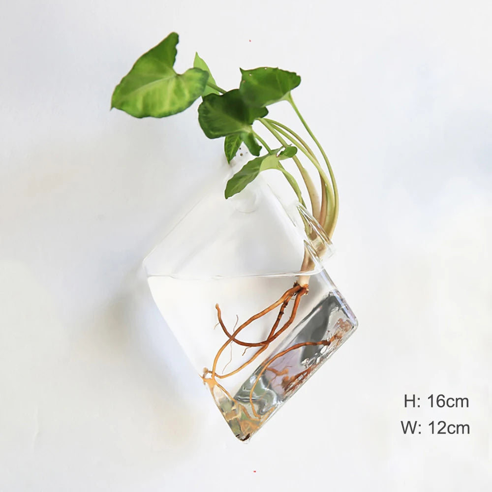 Wall Hanging Glass Terrarium Vase
