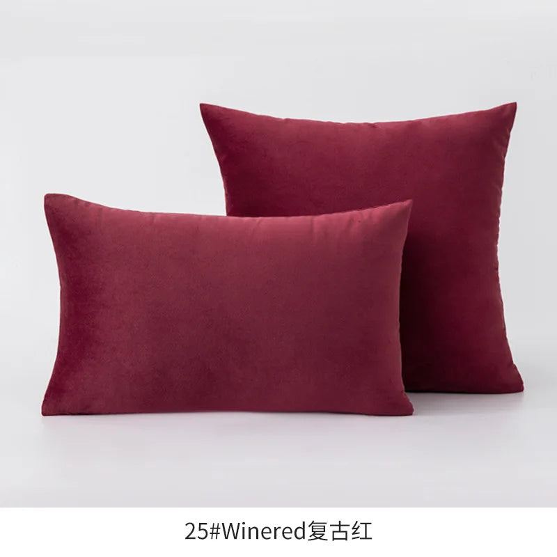 Plush Velvet Throw Pillow Cover