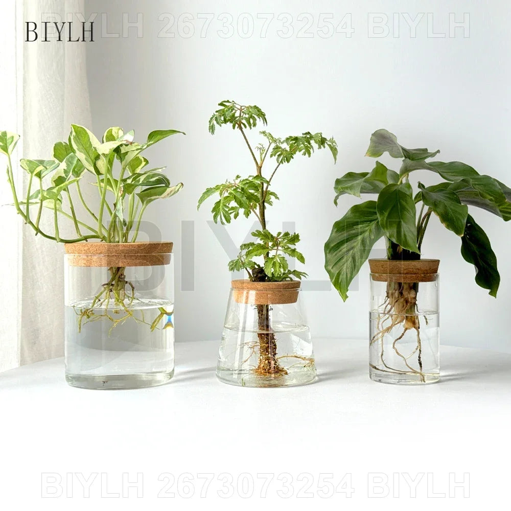 Nordic volcanic glass vase hydroponic tabletop plant arrangement