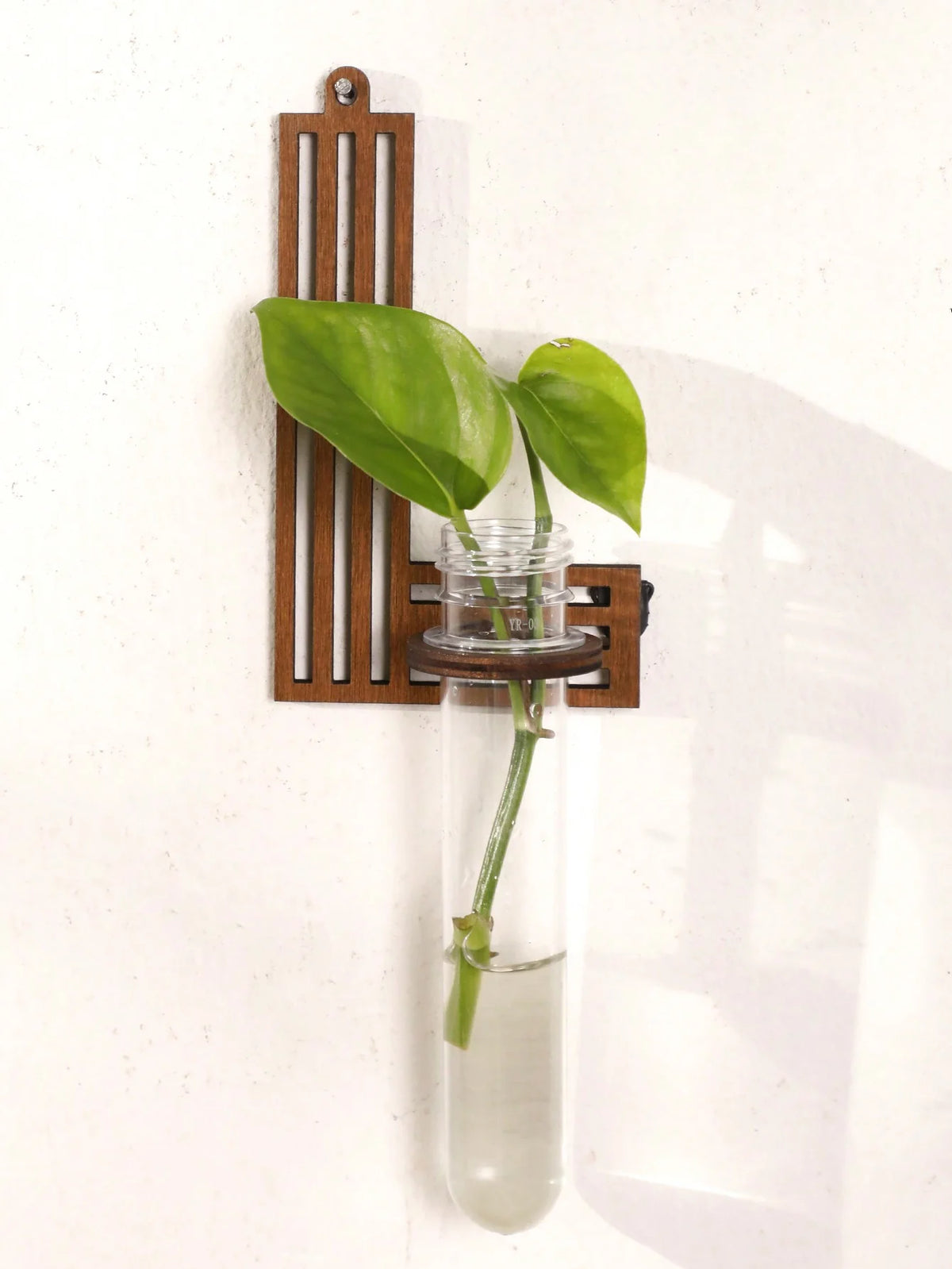 Close-up showing wooden base construction and glass tube detail of propagation station