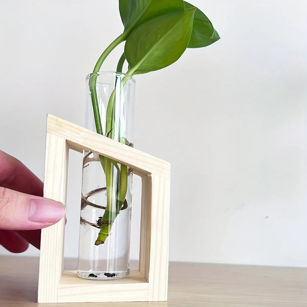 Test tube glass hydroponic vase wooden stand desktop terrarium