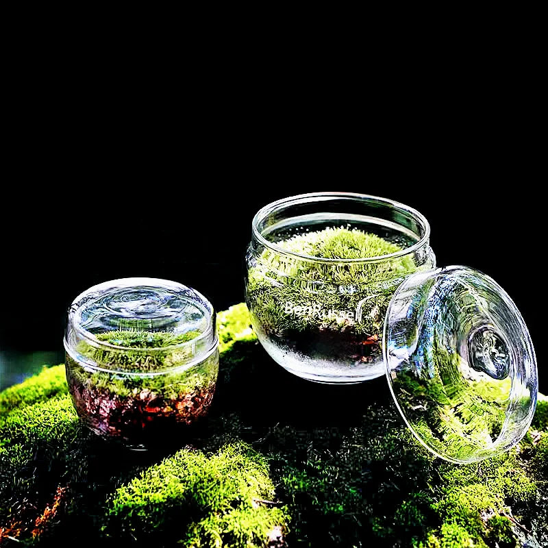 Close-up of glass bottle opening on compact moss terrarium vessel