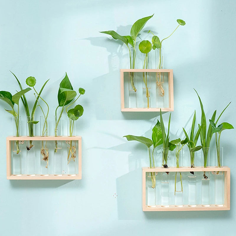 Style A glass tube planter in natural wood frame holding water plants