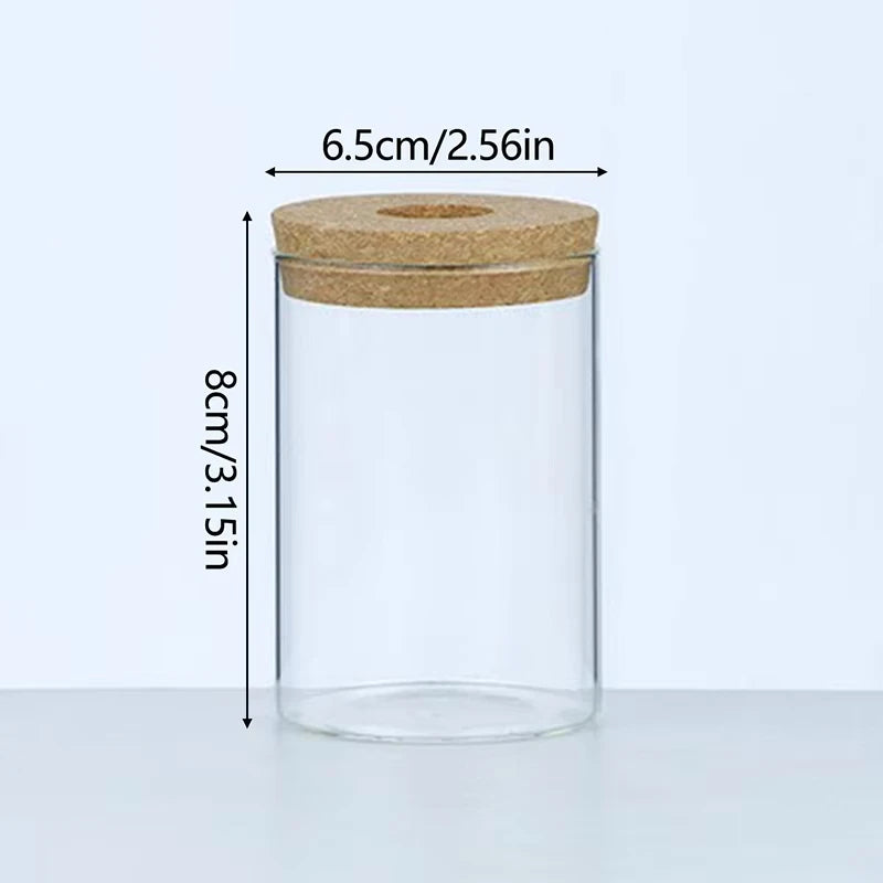 Side view of glass self-watering planter showing integrated tray water reservoir