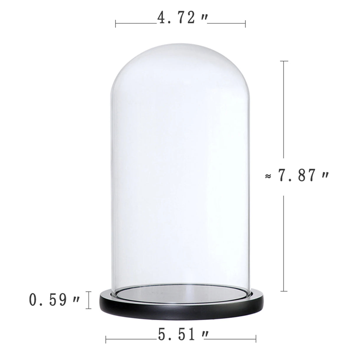 Clear Glass Dome Cloche Vase