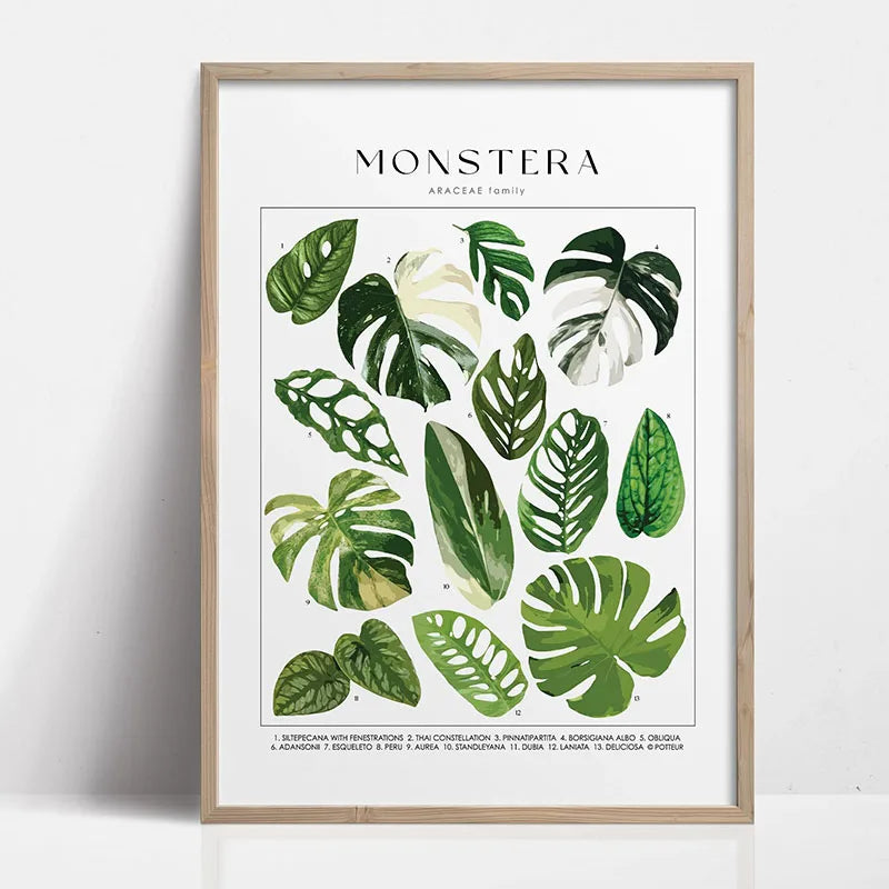 Green Botanical Houseplant Canvas Wall Art