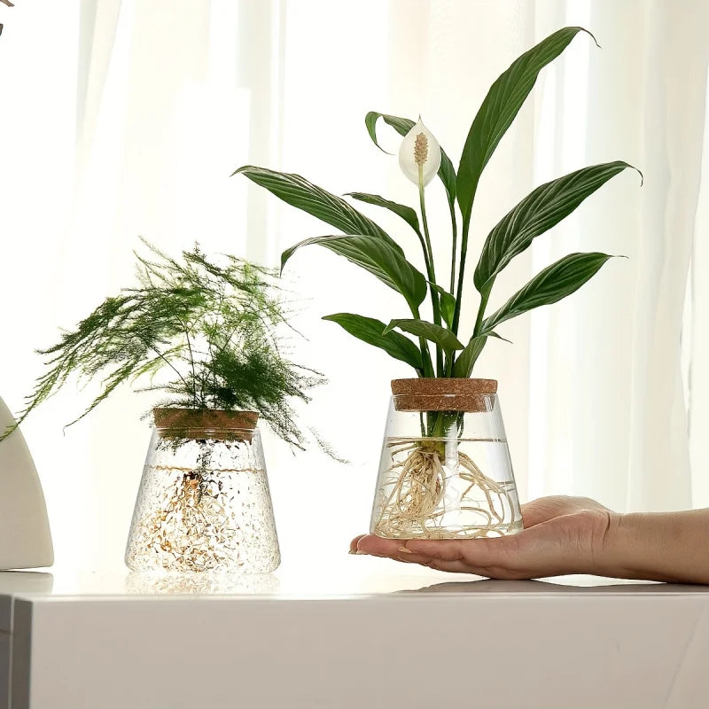 Glass propagation station with leafy plant cuttings for home office desk decor