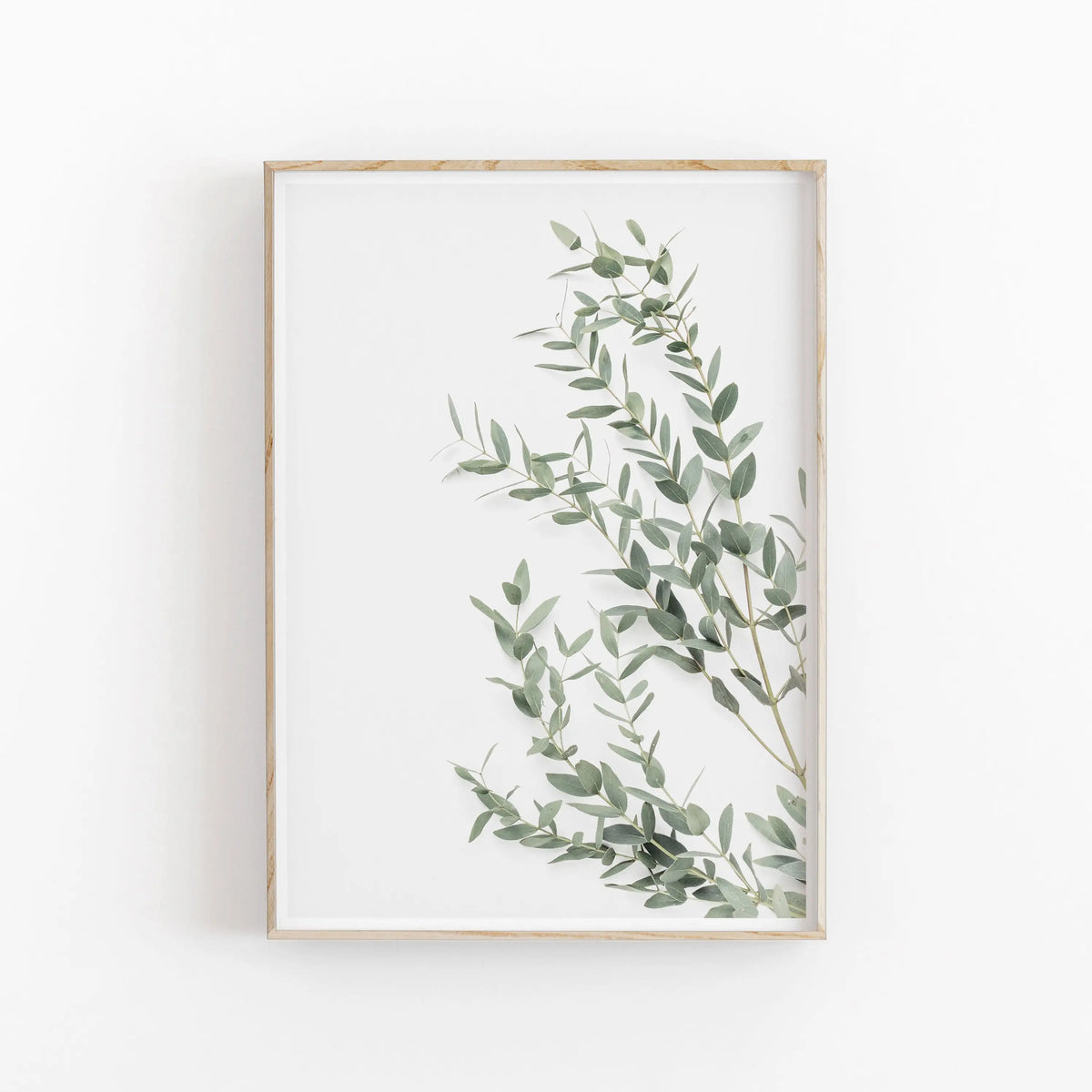 Nordic Minimalist Botanical Eucalyptus Canvas Wall Art