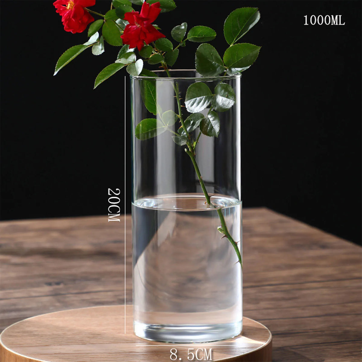 Side view of transparent cylinder vase showing full hydroponic plant within