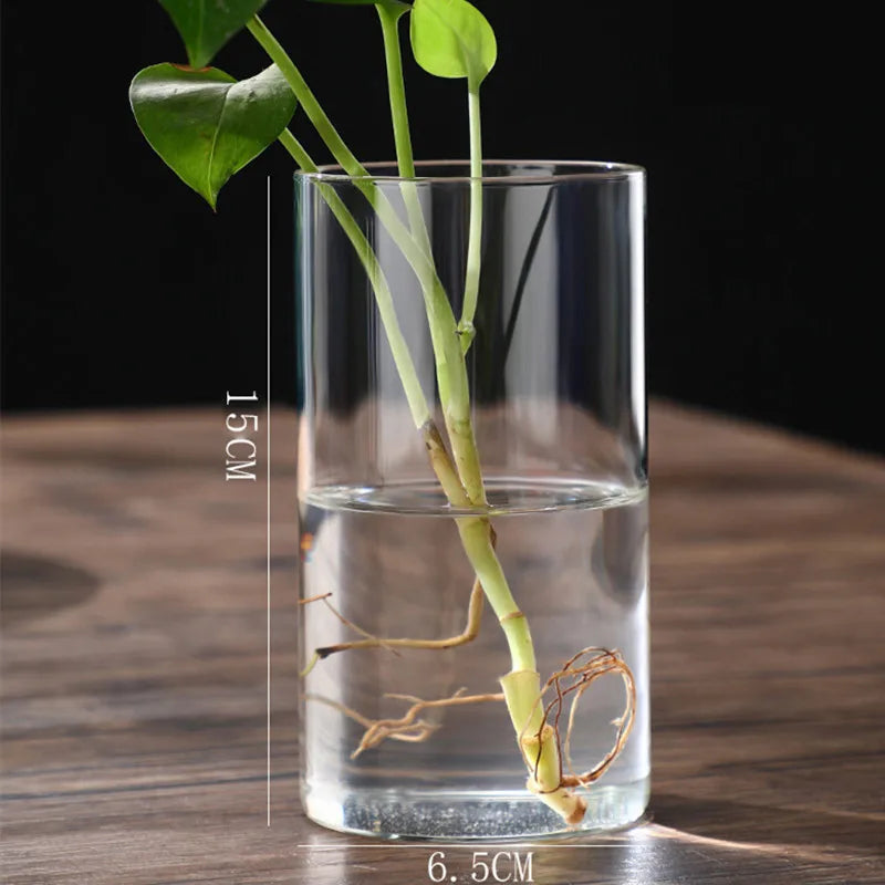 Clear Glass Cylinder Flower Vase