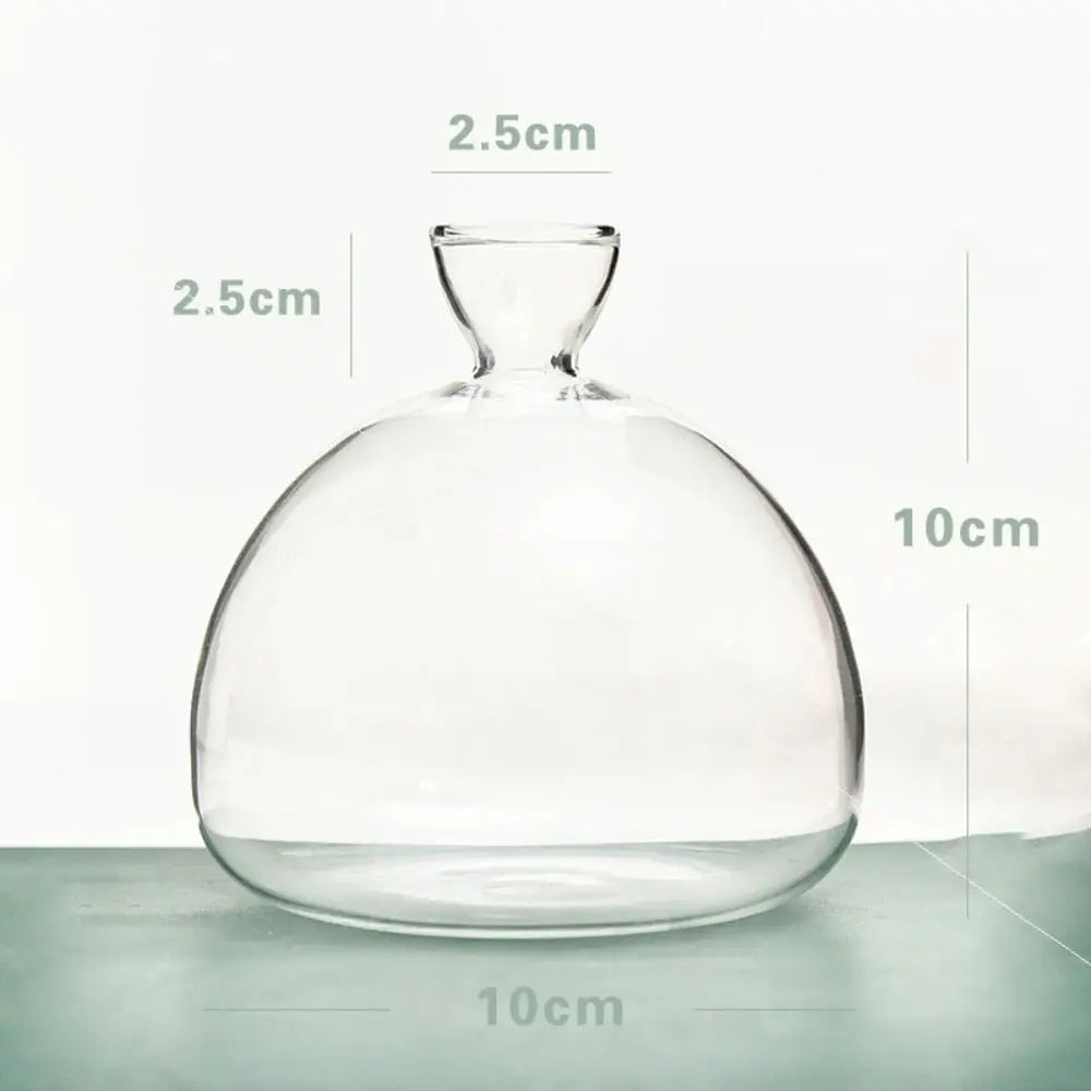 Gift-ready avocado seed vase with instruction stickers attached