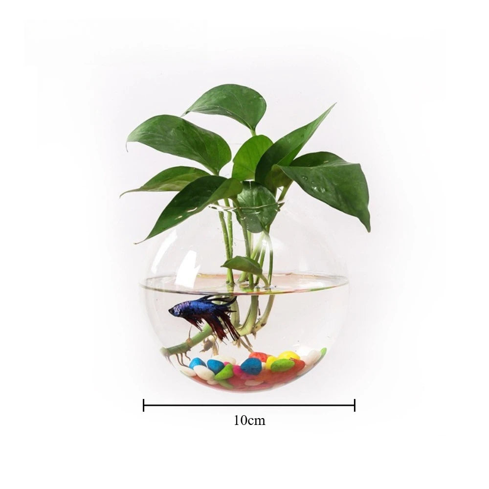 All three sizes of spherical glass wall vases lined up on wooden surface