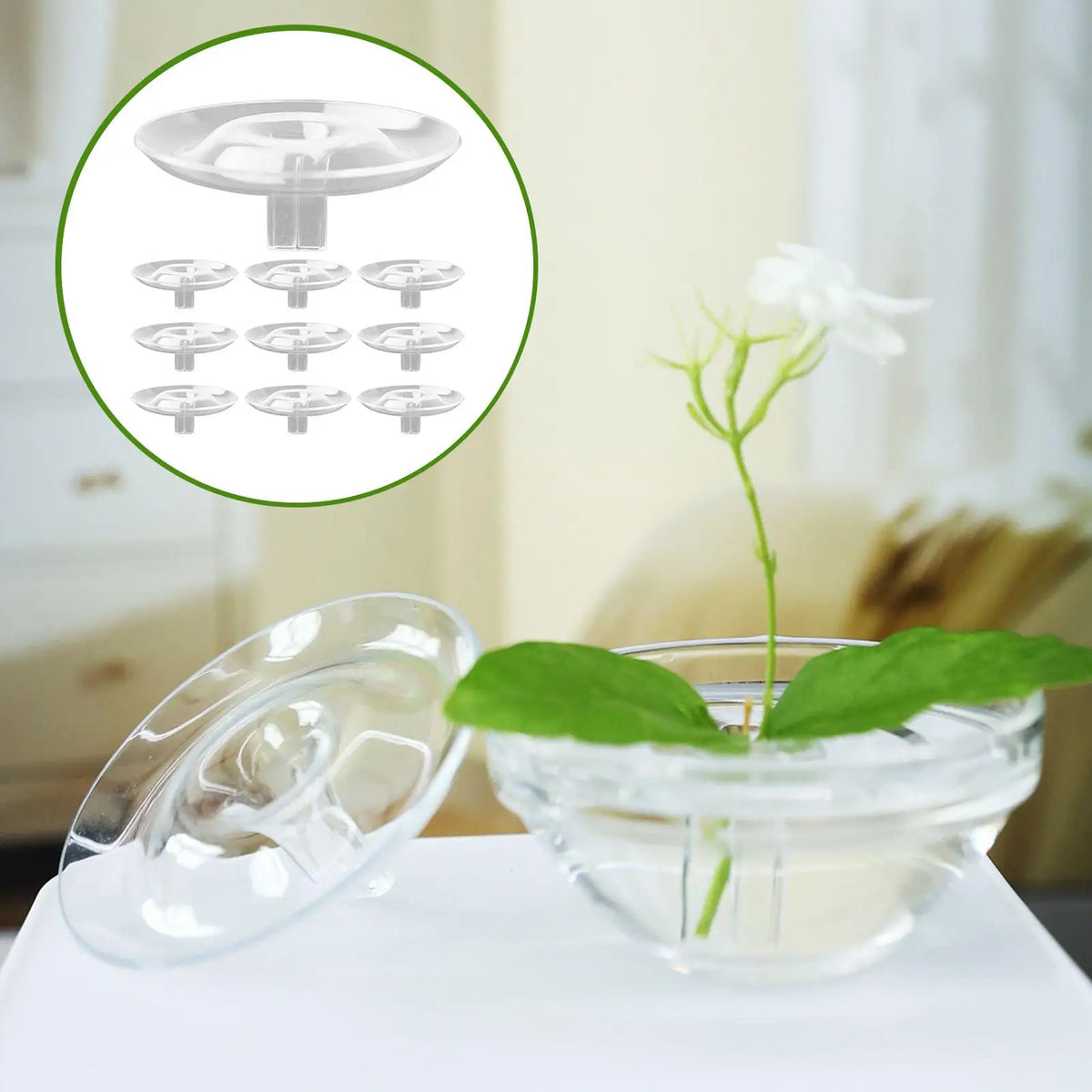 Transparent flower stem holder set for vase hydroponic arrangement