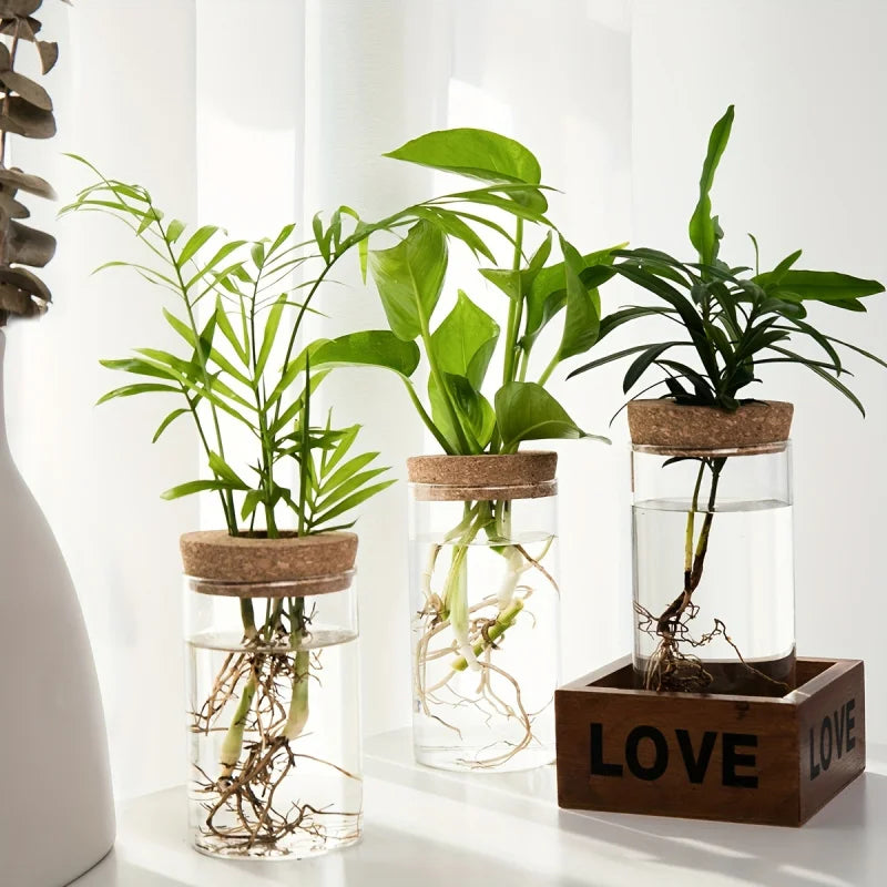 Glass hydroponic vase styled in Japandi minimalist desk setup with ceramics