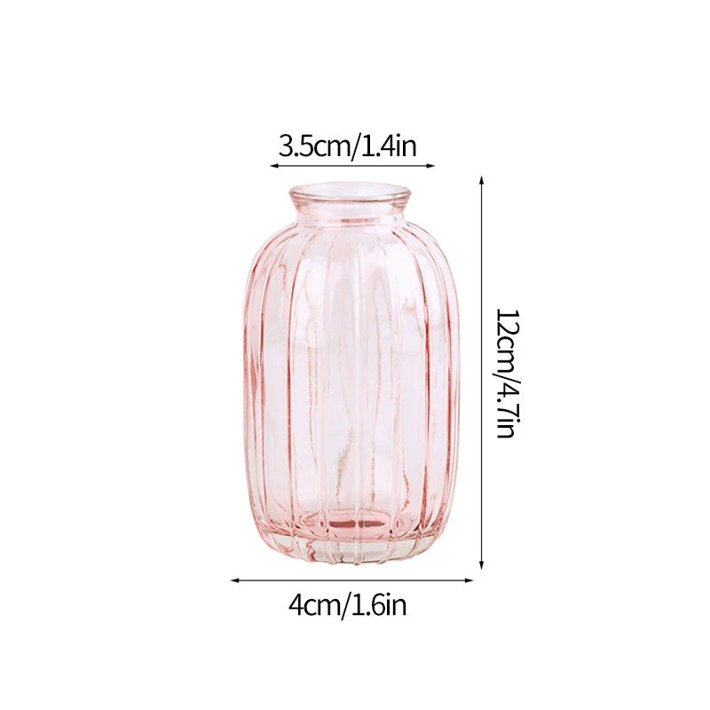 Minimalist Clear Glass Flower Vase
