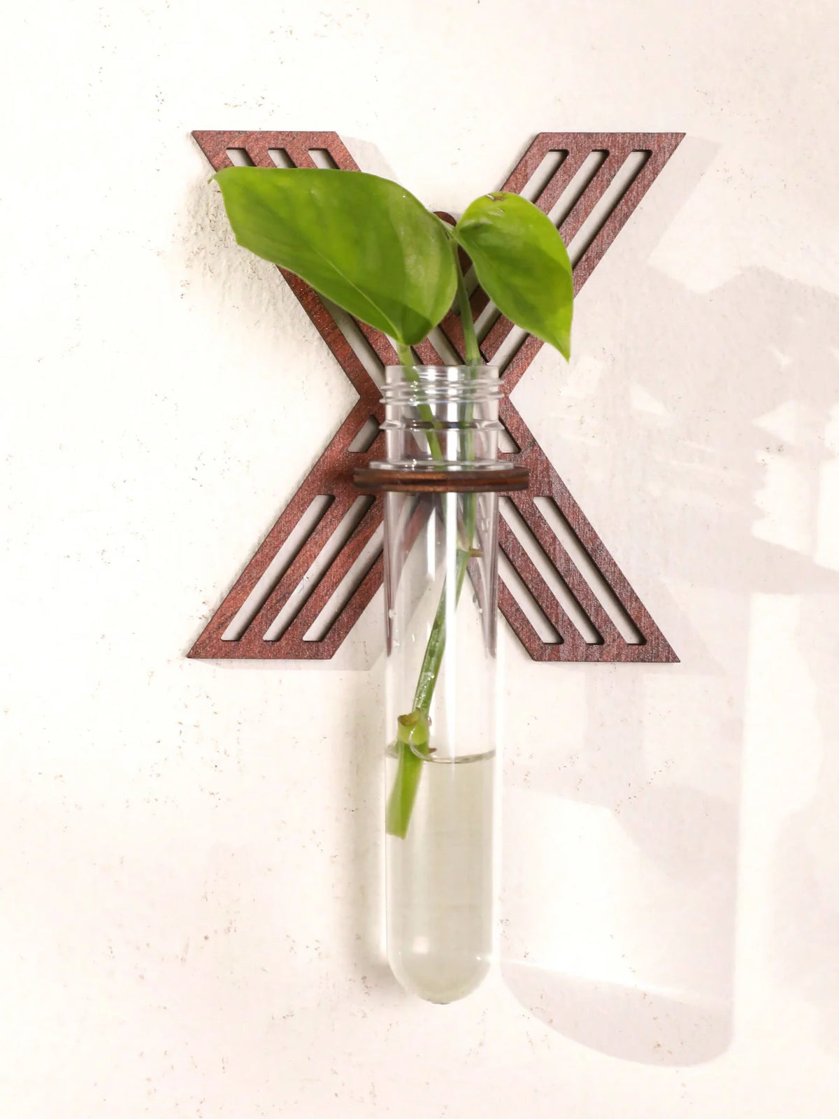 Alphabet Letter Wood Propagation Station