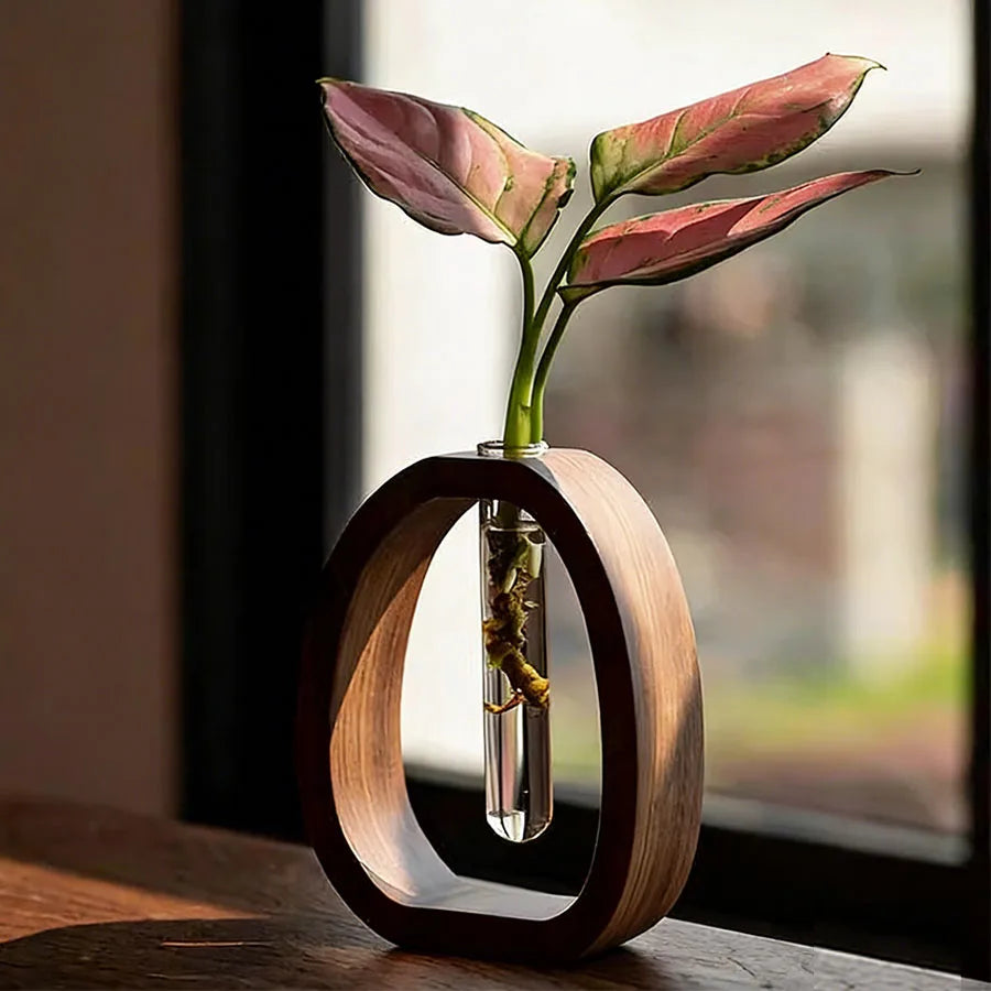 Walnut wood base hydroponic vase with clear glass tube holding single green stem cutting