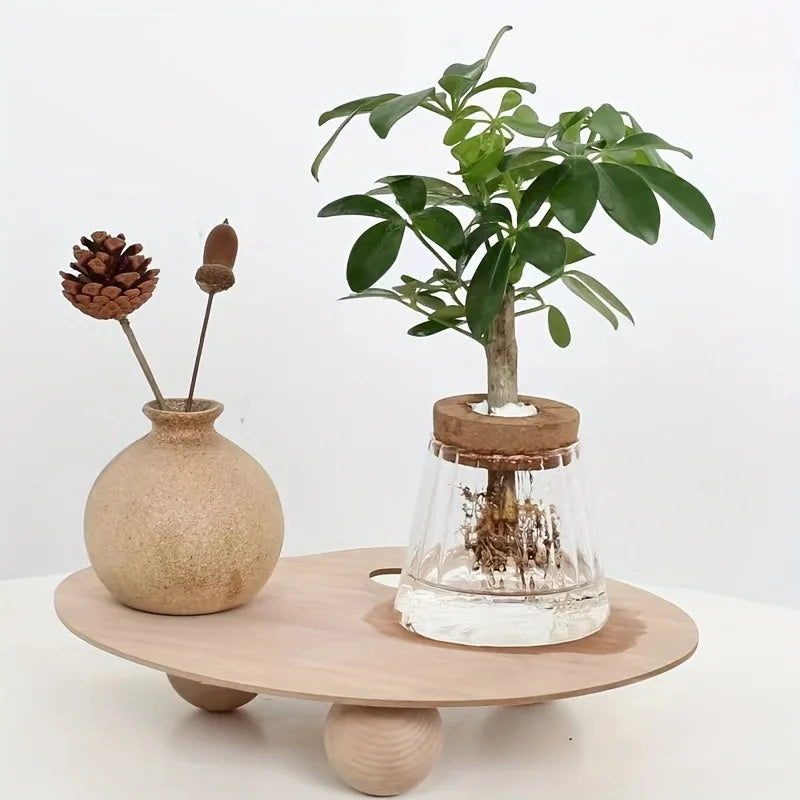 Glass planter with integrated water tray for slow-release indoor plant watering