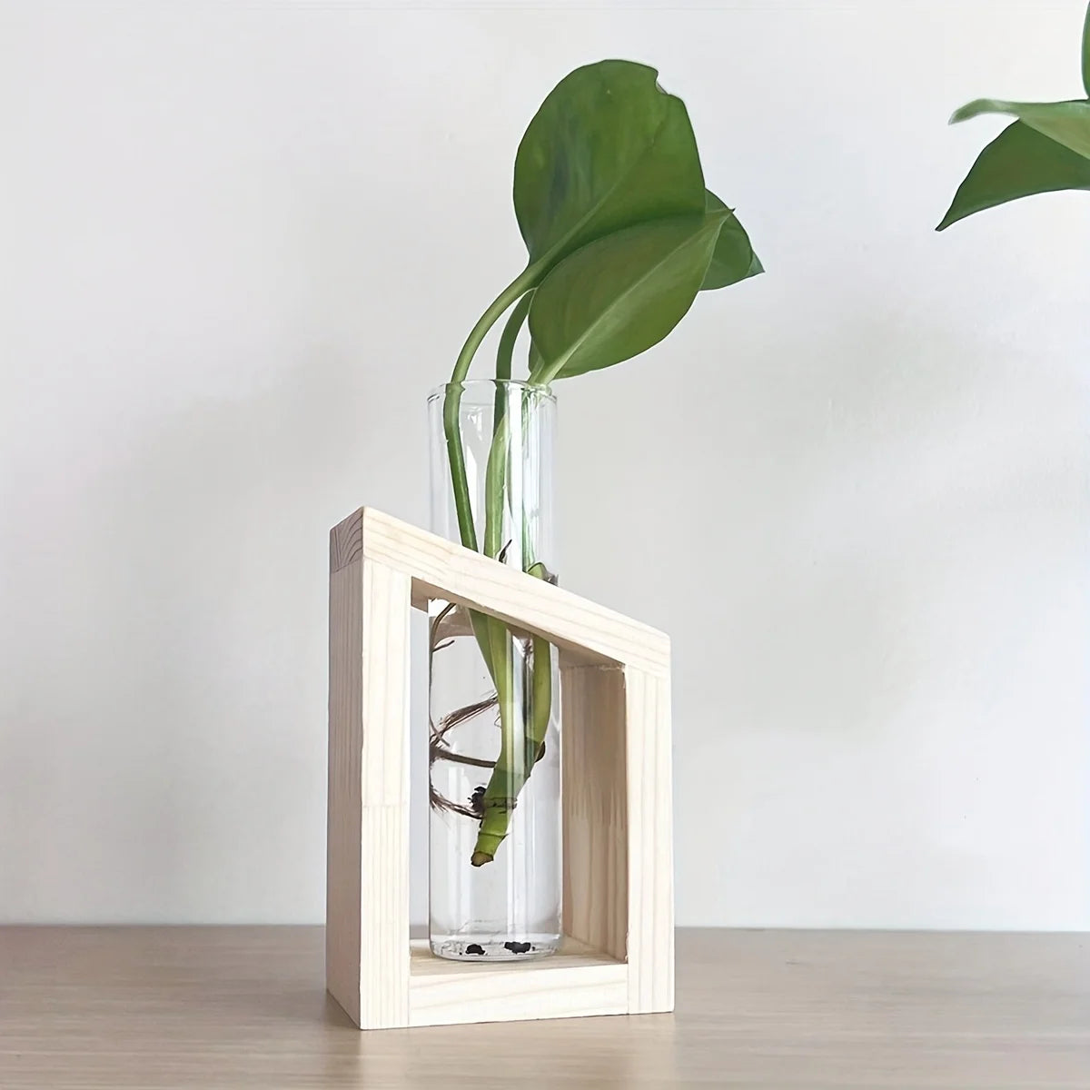 Test tube glass hydroponic vase wooden stand desktop terrarium