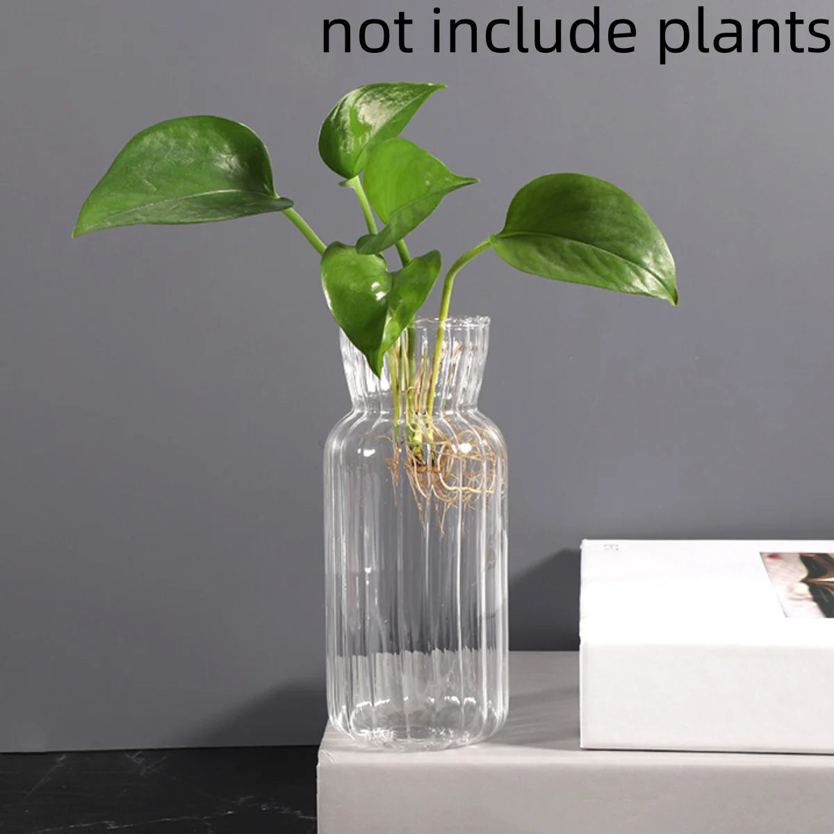 Mini retro striped glass vase with single dried botanical stem