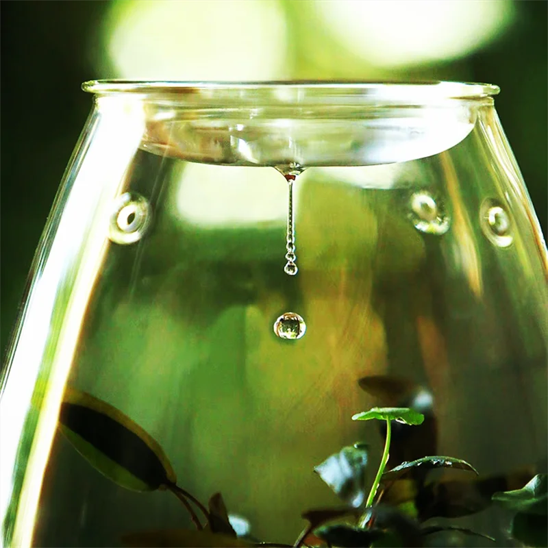Close-up of sealed glass terrarium lid and green moss detail inside