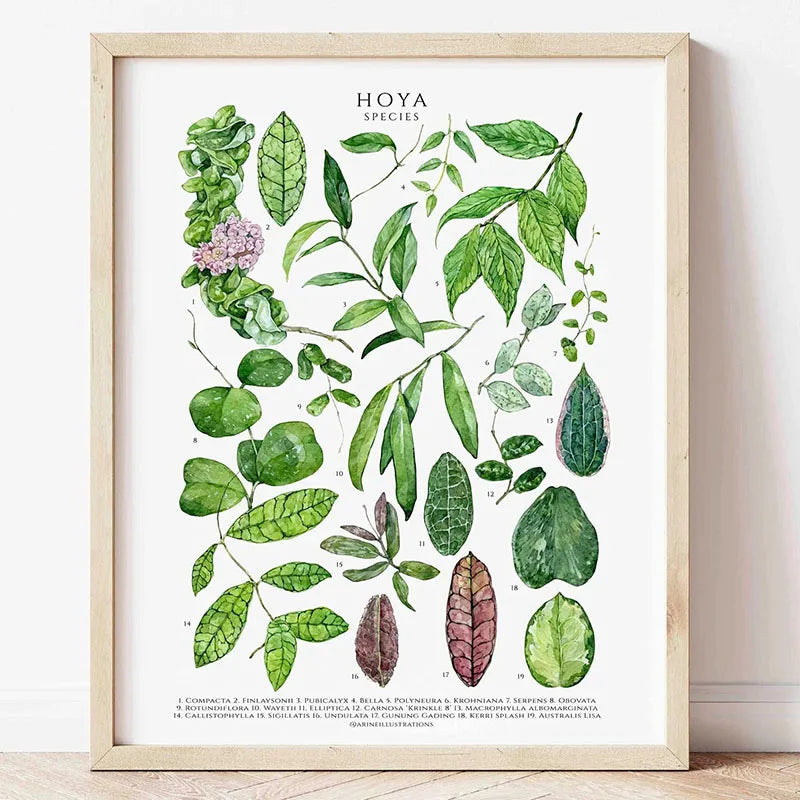Green Botanical Houseplant Canvas Wall Art