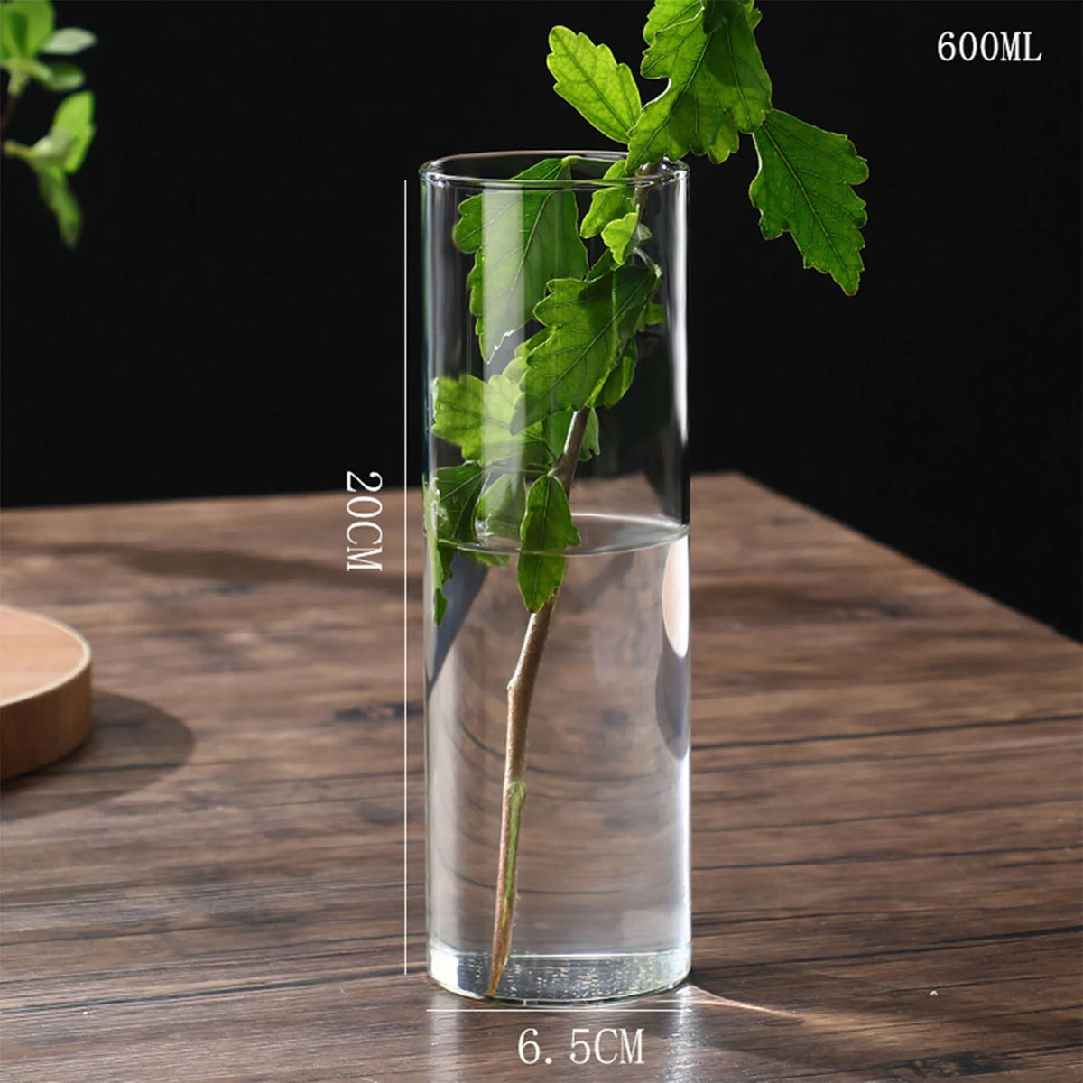 Glass Cylinder Hydroponic Desktop Vase