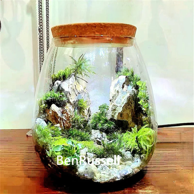 Ecological glass terrarium bottle with cork lid holding green moss inside