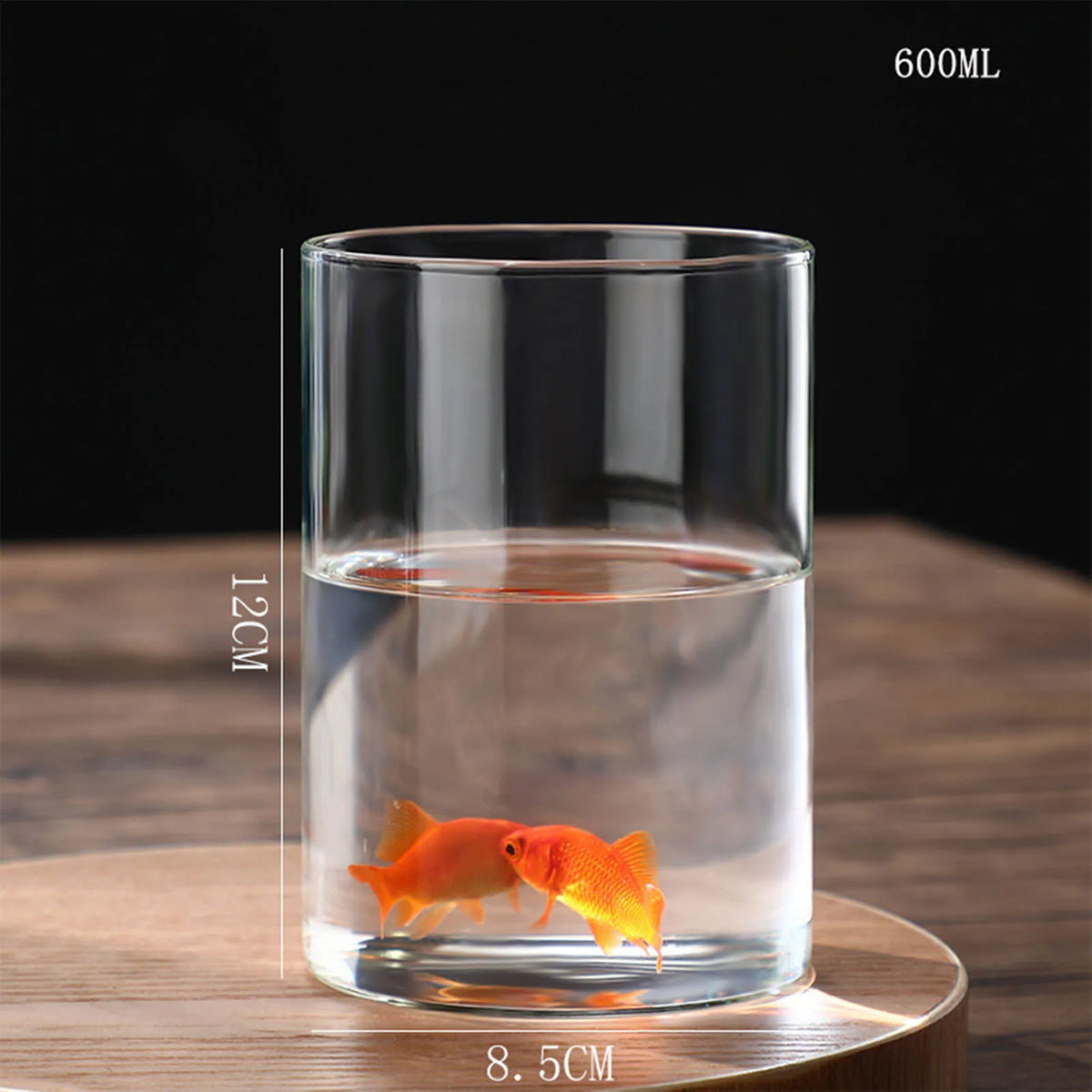 Hydroponic plant roots growing in clear cylinder glass desktop vase