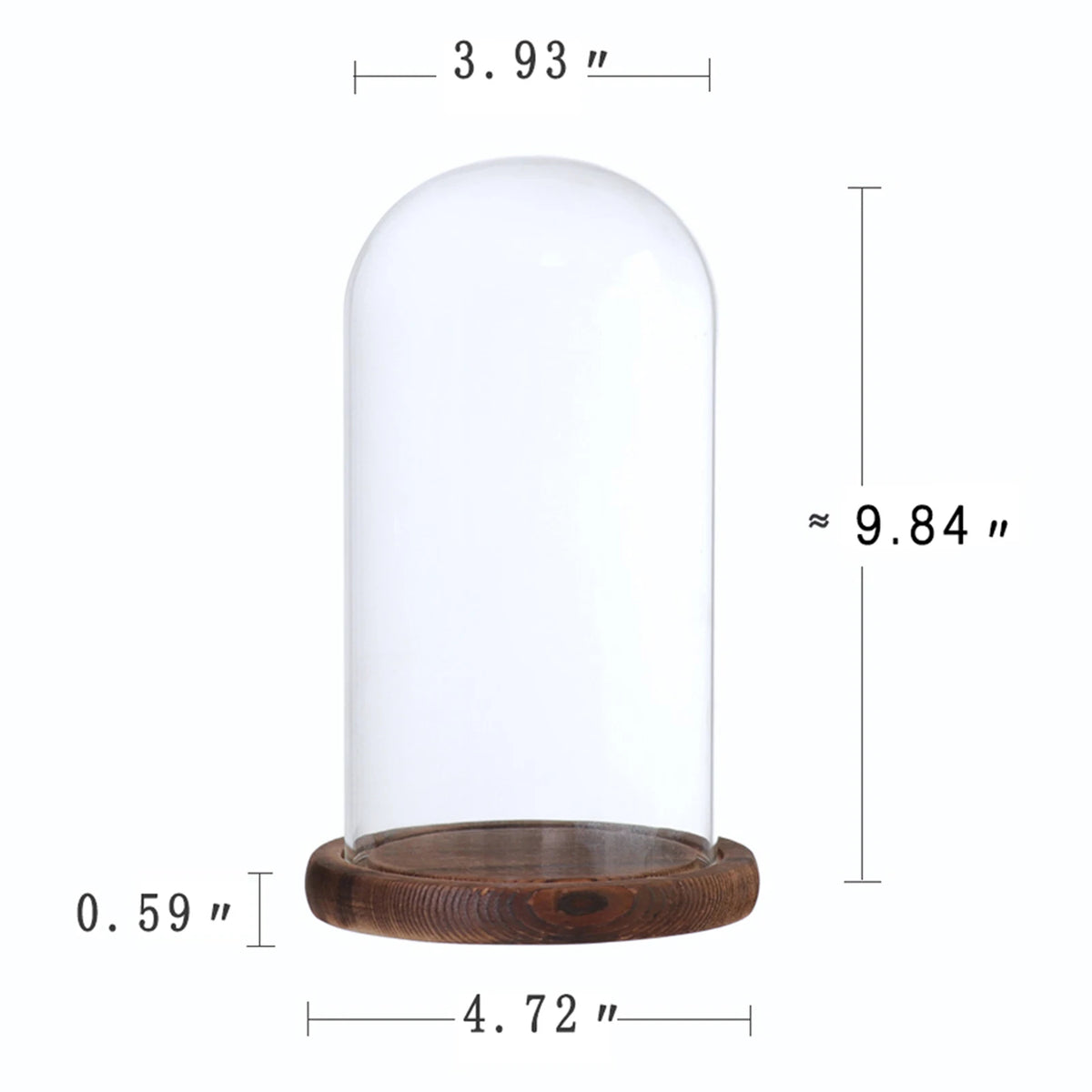 Clear Glass Dome Cloche Vase