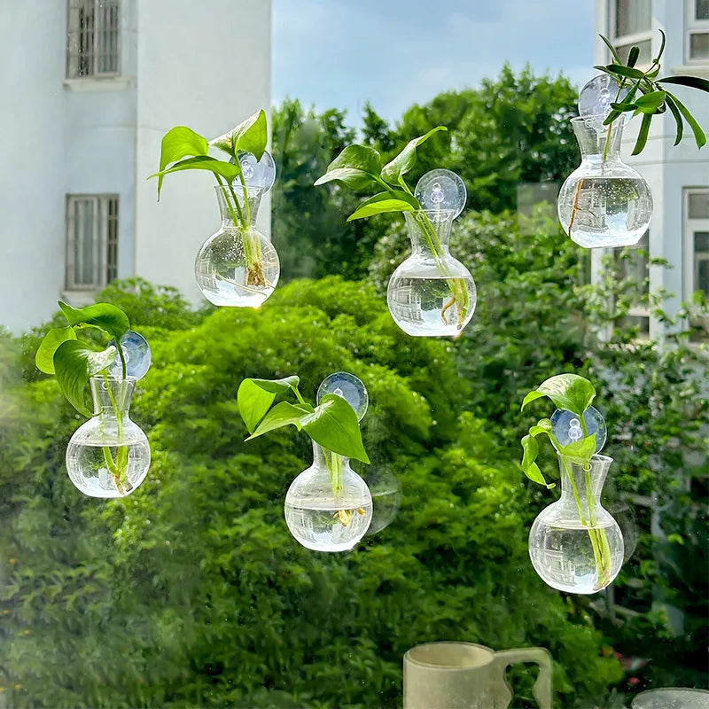 Suction cup glass gourd vase hanging hydroponic window planter