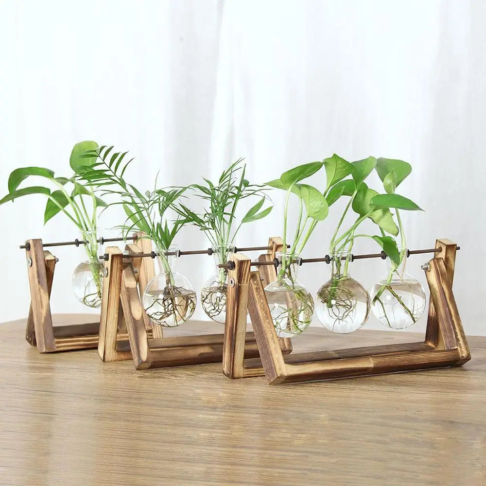 Geometric wooden frame glass terrarium planter for hydroponic plants on desk