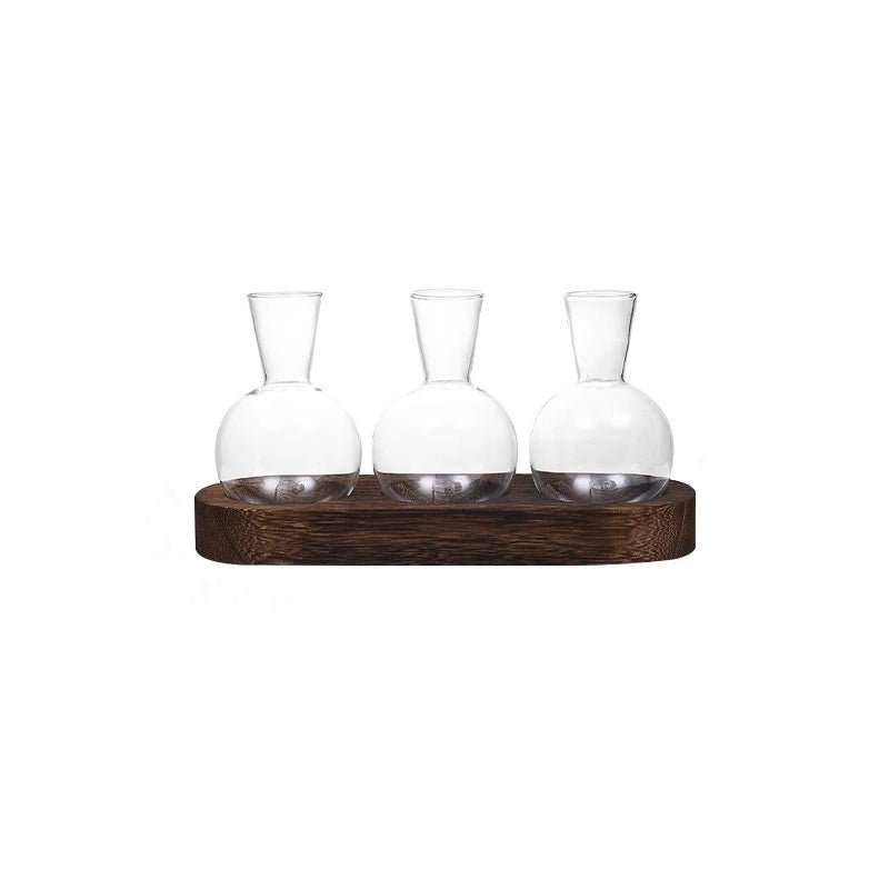 Japandi-style glass terrarium with natural wooden tray for indoor propagation