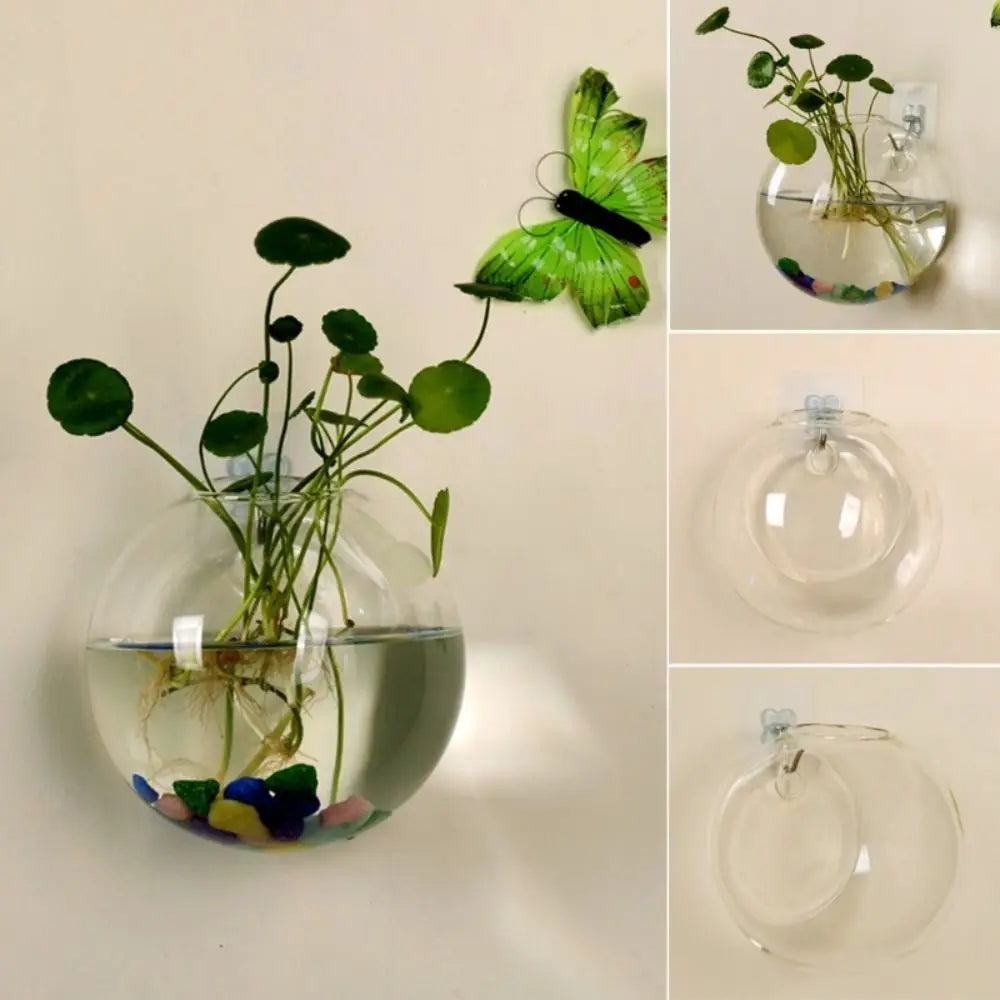 Small 8cm glass wall-mounted vase displaying single fresh flower on wall