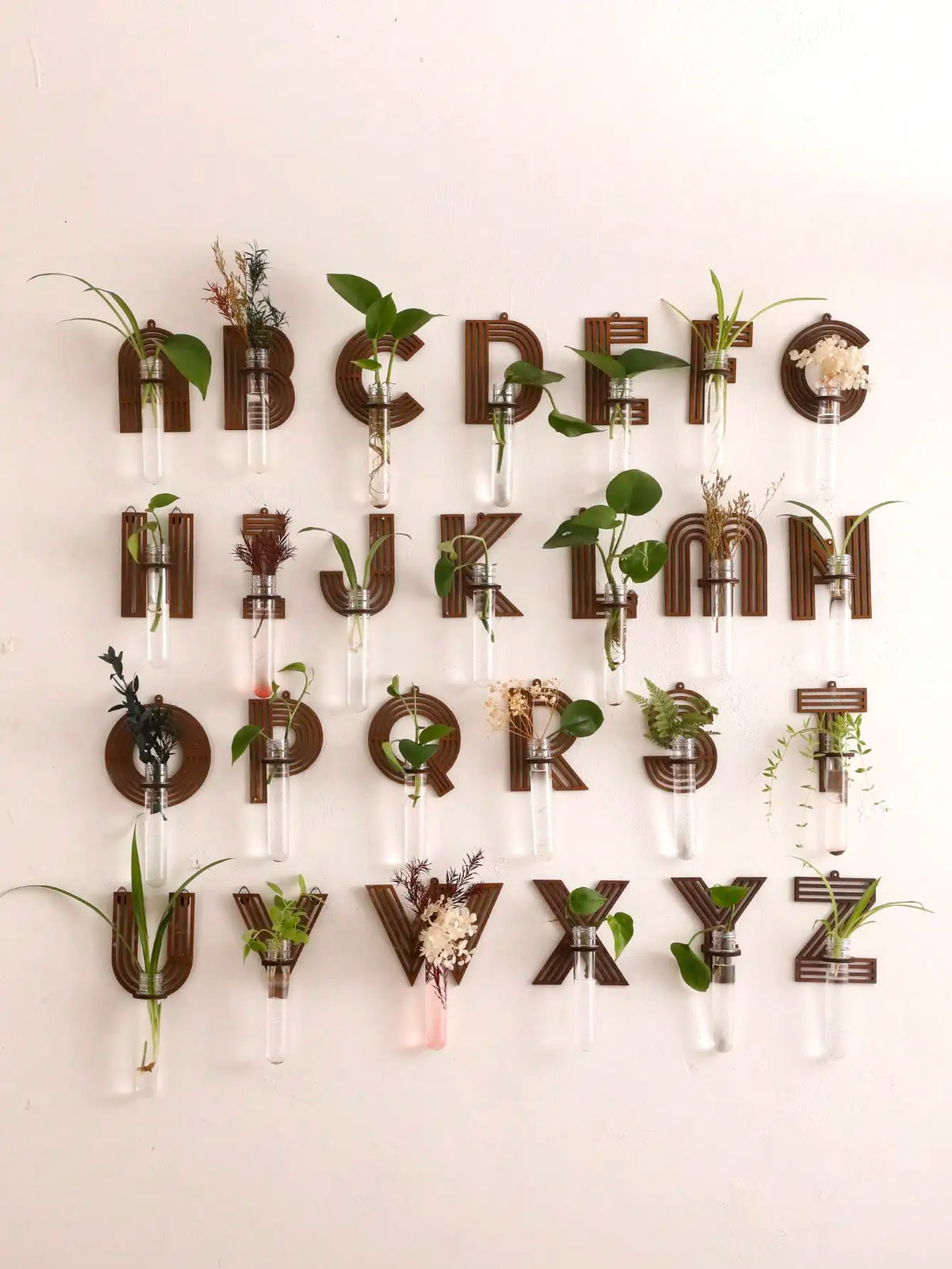 Letter A wooden propagation station with glass tubes and green plant cuttings