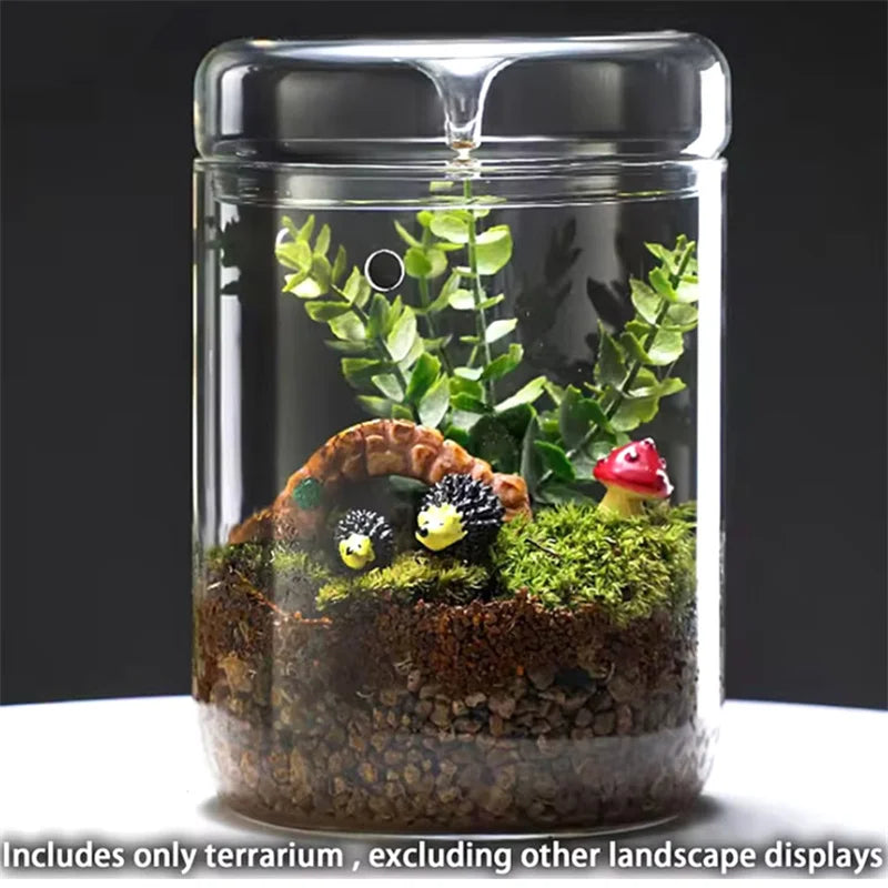 Lidded glass terrarium for miniature moss landscape on office surface