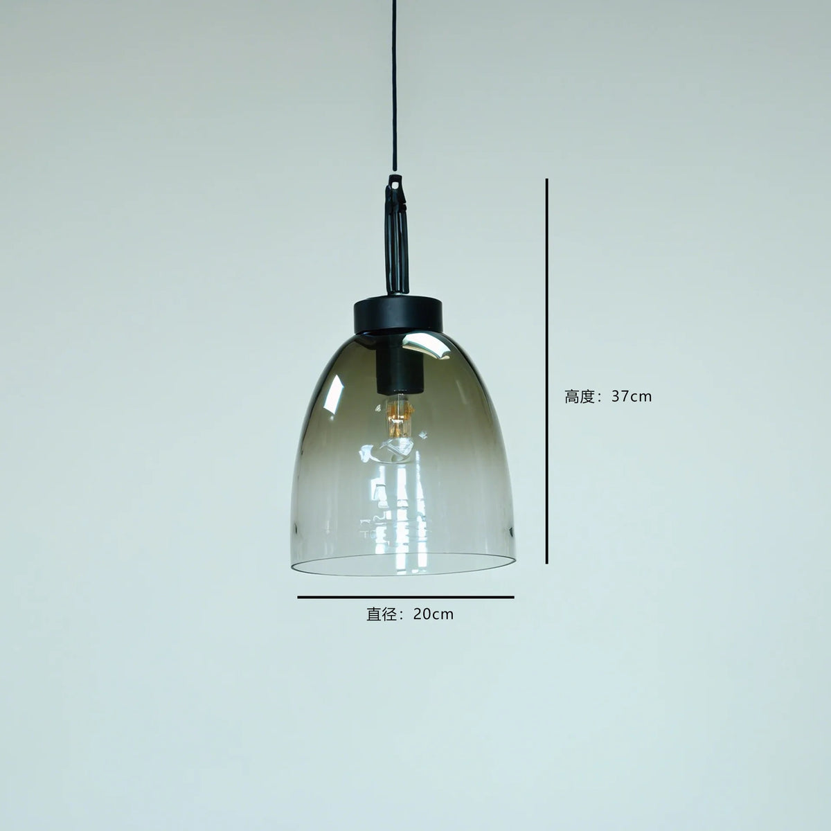 Industrial Metal Globe Pendant Light