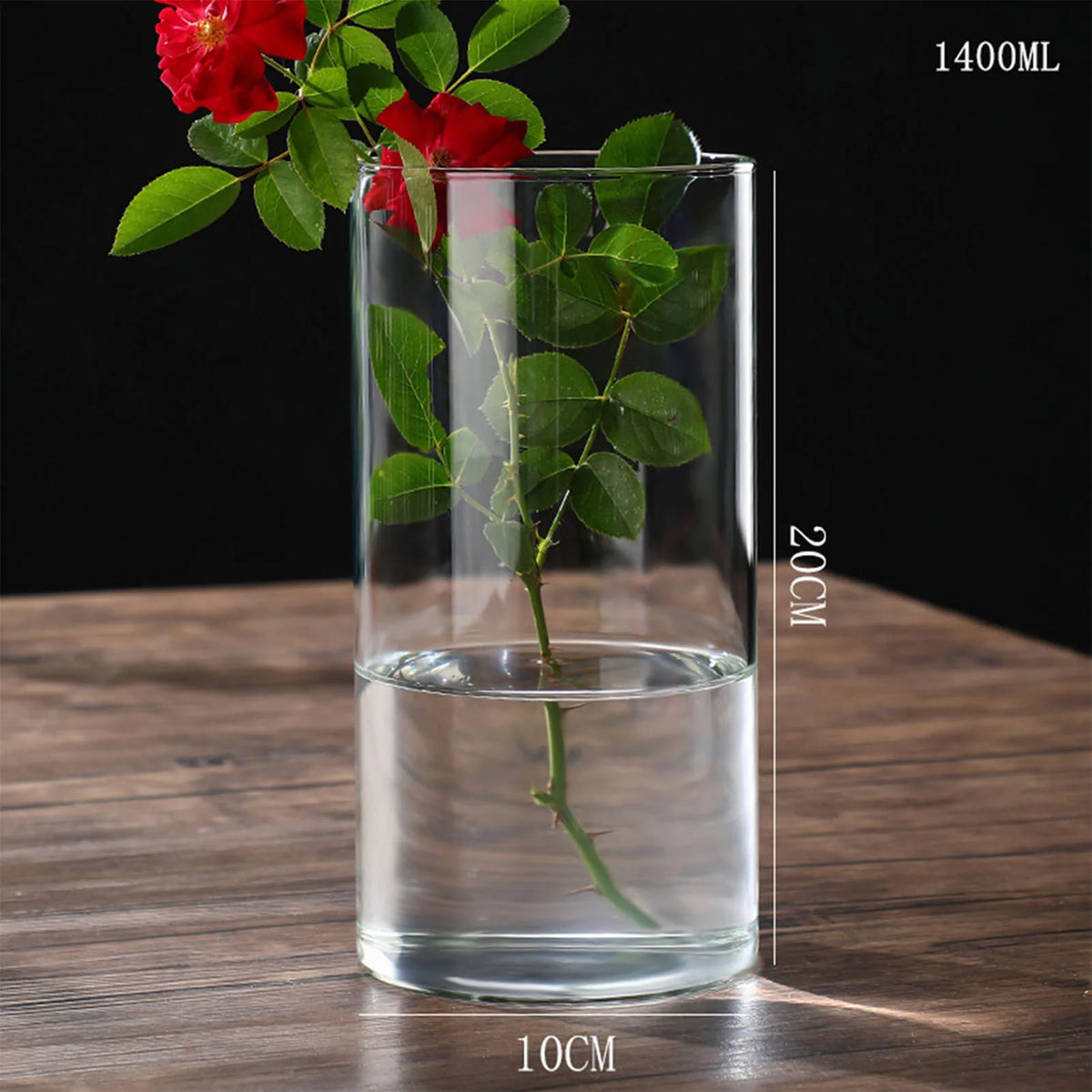 Transparent glass cylinder vase showing plant roots visible in water below