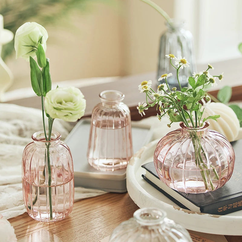 Clear glass flower vase 100ml small size modern decor