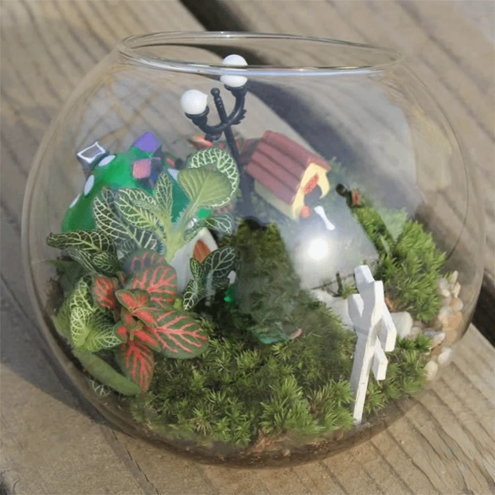 Borosilicate glass sphere vase with small plant display
