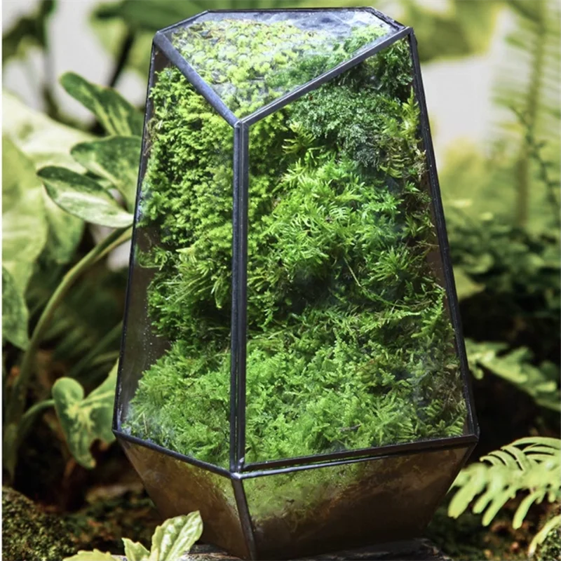 Large quartz-shaped glass terrarium planter with layered moss landscape on wooden floor