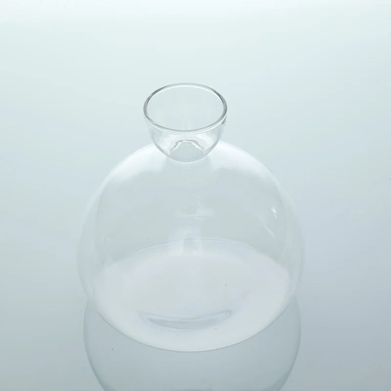 Glass avocado seed vase with sprouted seed on natural wood surface