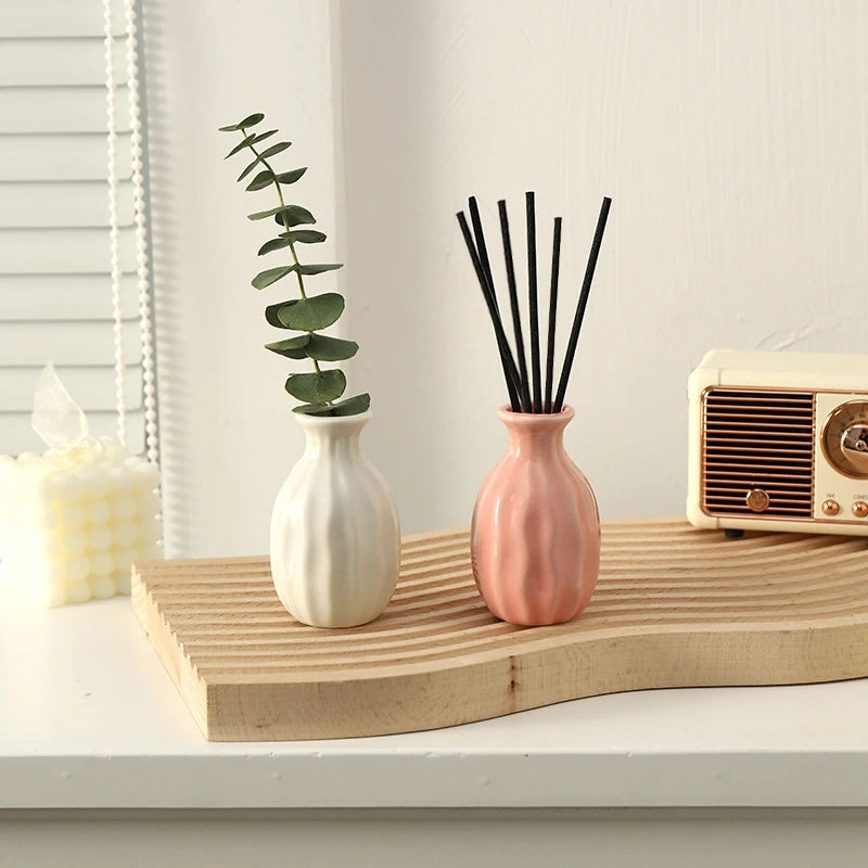 Ceramic hydroponic vase set paired with dried stems decor