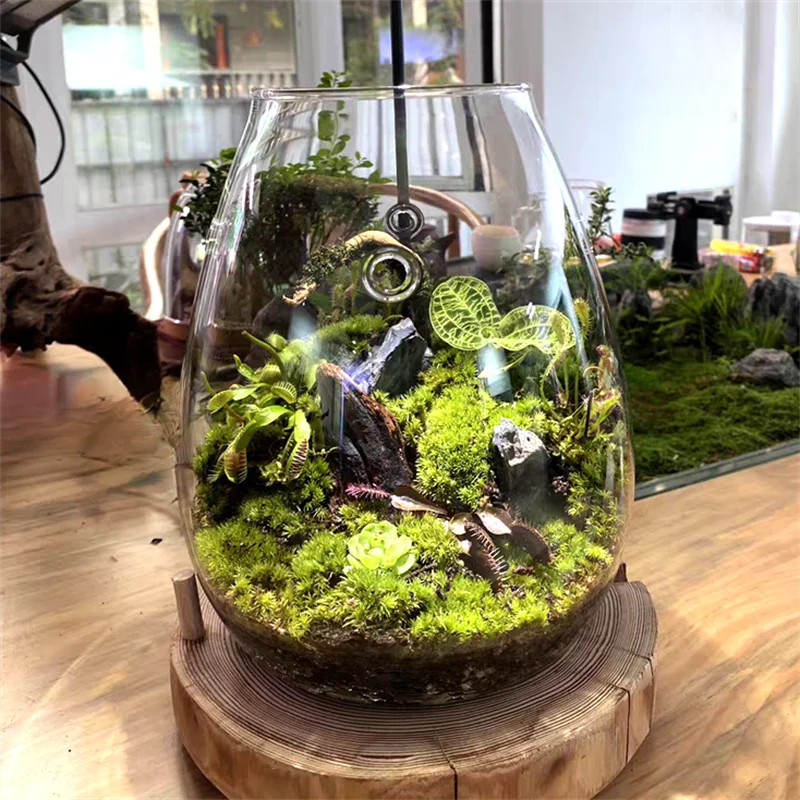 Glass moss terrarium bottle as nature-inspired living room accent piece
