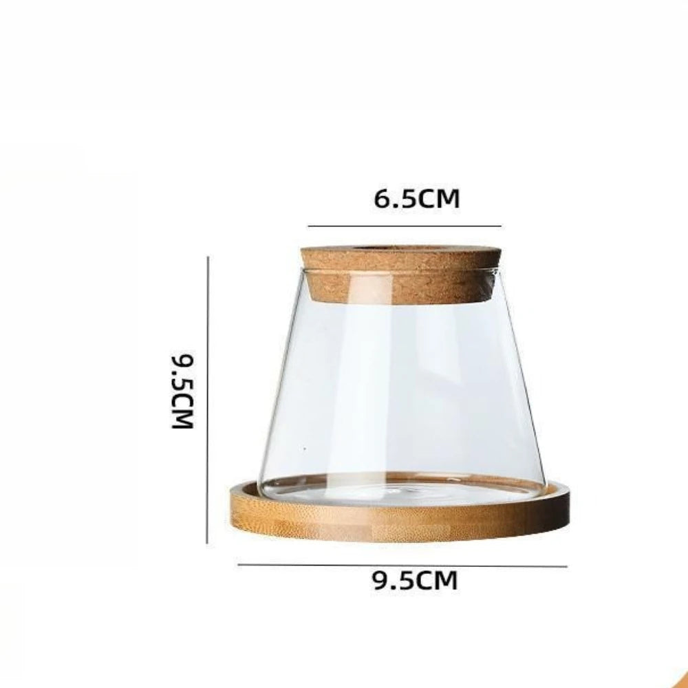 Glass hydroponic vase propagation station elegant table décor